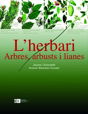 Herbari: arbres, arbusts i lianes, L’ Herbari: arbres, arbusts i lianes, L’