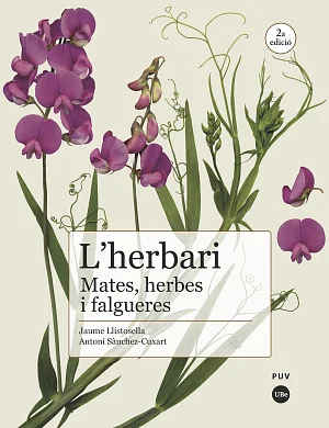 Herbari: mates, herbes i falgueres, L’ (2a edició) Herbari: mates, herbes i falgueres, L’ (2a edició)