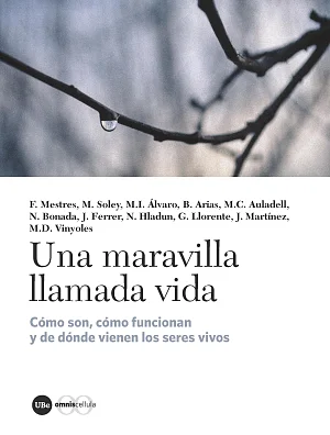 Una maravilla llamada vida. Cómo son, cómo funcionan y de dónde vienen los seres vivos (eBook) Una maravilla llamada vida. Cómo son, cómo funcionan y de dónde vienen los seres vivos (eBook)