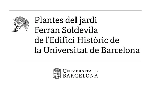 Plànol del jardí de l’Edifici Històric de la UB