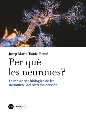 Per què les neurones? La raó de ser biològica de les neurones i del sistema nerviós